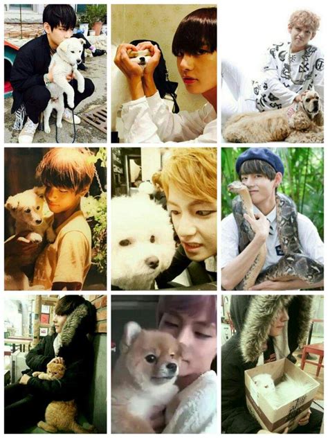 bts animals|bts representative animals.